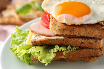 Plate with tasty sandwich, closeup