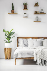 Bright, botanic bedroom interior with wooden furniture, cozy sheets and pillows and natural plants on a white wall
