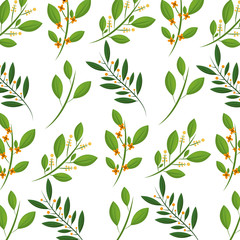 natural branches seeds leaves herbal pattern vector illustration