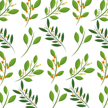 natural branches seeds leaves herbal pattern vector illustration
