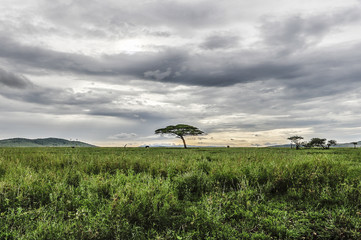 Serengeti National Park