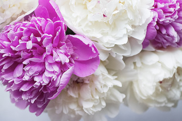 A bouquet of flowers close-up. White and pink peonies.