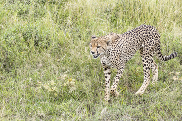 Serengeti National Park