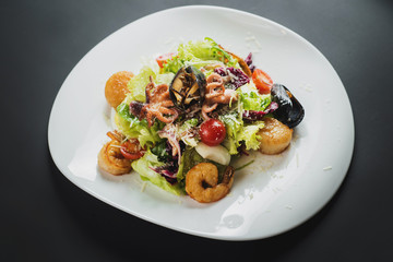 Tasty salad dish from seafood
