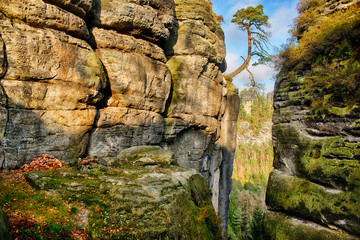 Elbsandsteingebirge