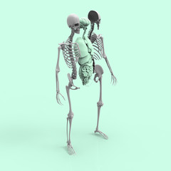 Human Anatomy Skeleton and Organs Pastel 3D Render