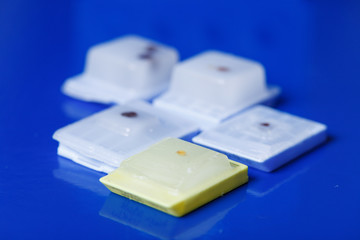 Fototapeta premium microscope slides preparation in paraffine