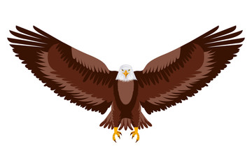 american eagle open wings bird vector illustration