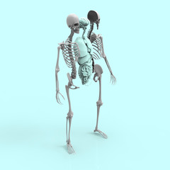 Human Anatomy Skeleton and Organs Pastel 3D Render