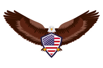 american eagle flag in shield national symbol vector illustration