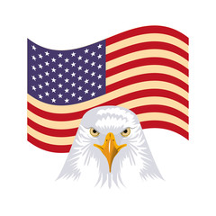 american head eagle flag national emblem vector illustration