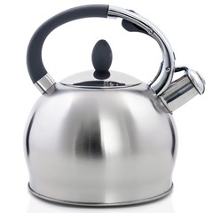 A new round metallic kettle with a brown handle on a white background