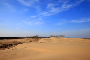 Fototapeta na wymiar The desert under the blue sky