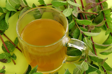 Cup of mint herbal tea in a glass cup mug surrounded by mint plant leaves on a green background