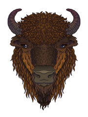 european brown zubr buffalo bison animal isolated on white background. Vector art illustration for men, boys, clothes © Janna Mudrak