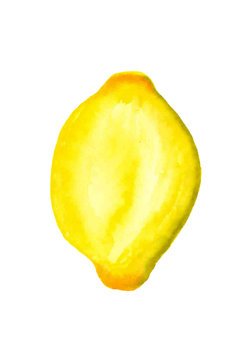 Watercolor lemon fruit isolated on white background.