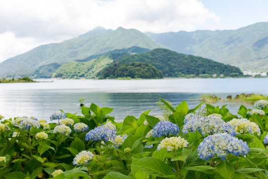 八木崎公園 Images Browse 66 Stock Photos Vectors And Video Adobe Stock