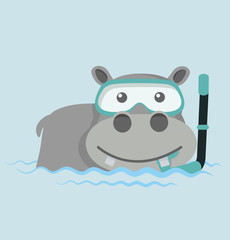 Hippo Snorkeling in water