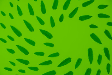 Creative layout made of green leaves. Flat lay concept