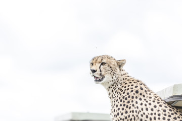 Serengeti National Park