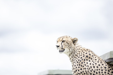 Serengeti National Park