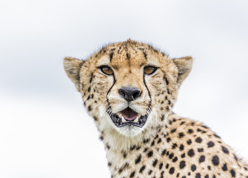 Serengeti National Park