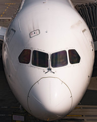 Nose of airliner