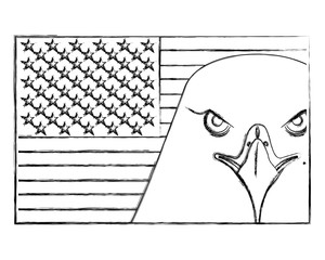 american bald eagle emblem with USA flag vector illustration design