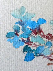 Abstract bright colored decorative background . Floral pattern handmade . Beautiful tender romantic branch of phlox flowers  , made in the technique of watercolors from nature.