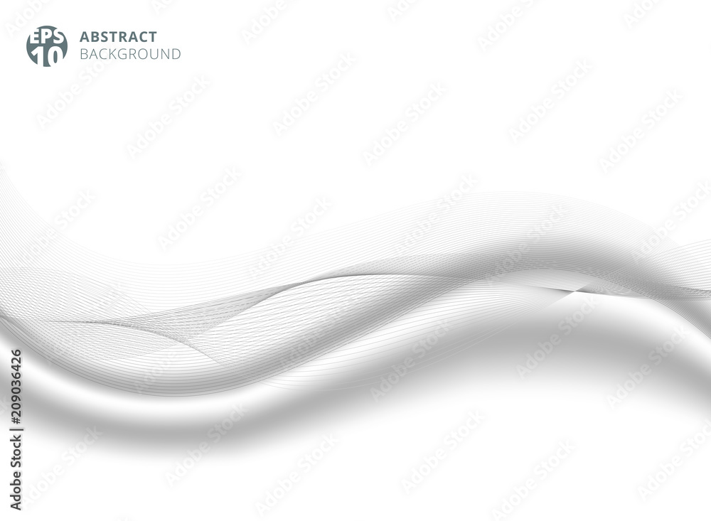 Poster abstract gray color line wave element with white silk satin background for design.