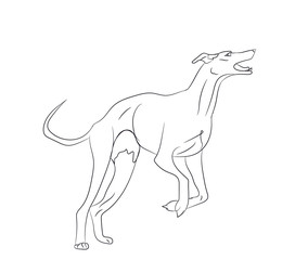 dog running, lines, vector