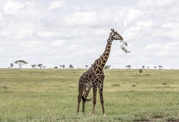 Serengeti National Park