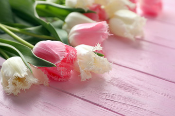 Beautiful tulips on color wooden background