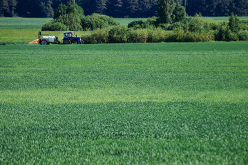 Fototapeta na wymiar Tractor sprays water, pesticide treatment