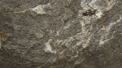 In the piece of rock, the barely visible minerals of the minerals are visible.