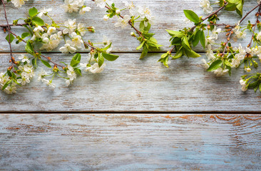Beautiful blossoming branches on wooden background