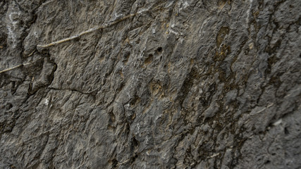In the piece of rock, the barely visible minerals of the minerals are visible.