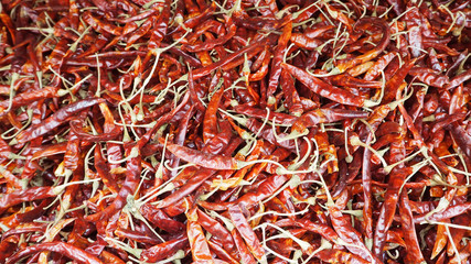 Fototapeta premium group of dried chilli.