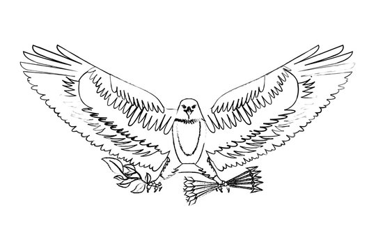 american eagle spread wings with arrows vector illustration sketch