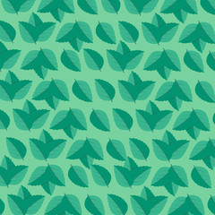 Fresh mint leaf. Mint leaves vector logo