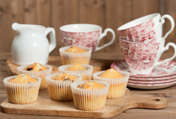 Obraz na płótnie Canvas Home Baked Muffins With Coconut, Cranberry, White Chocolate.