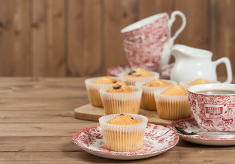 Home Baked Muffins With Coconut, Cranberry, White Chocolate.