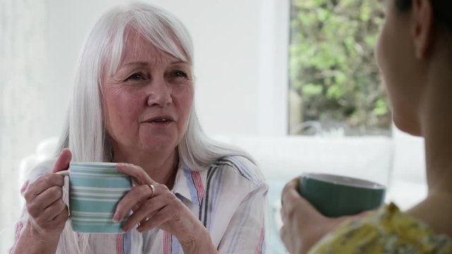 Young Woman Taking Time To Visit Senior Female Neighbor And Talk