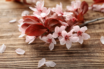 Beautiful blossoming branch on wooden background