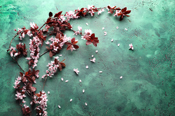 Beautiful blossoming branches on color textured background