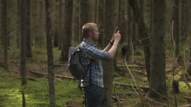 traveler takes pictures on phone in the forest