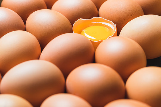 Chicken eggs and egg yolk in a row.