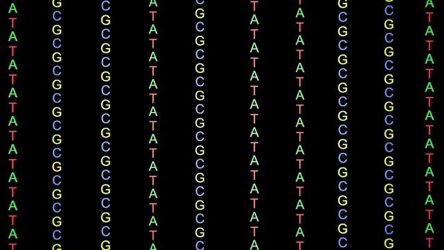 ATCG four basic nucleotides in DNA. Small letters.3d animation.Black and white alpha matte included.