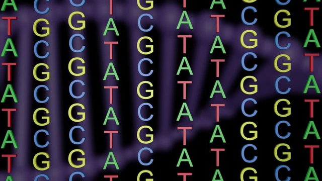ATCG four basic nucleotides in DNA.Rotating DNA molecule background. 3d animation