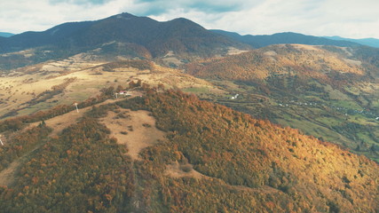 Fototapeta premium Aerial View over beautiful autumn mountain landscape. Yellow pasture with lonley houses among orange pine tree forest. Mountain range in the background. Holidays, travel. Carpathians, Ukraine, Europe